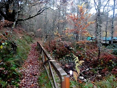 DSCN1838 DSCN1838