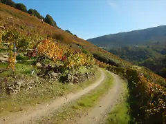 DSCN4626 DSCN4626