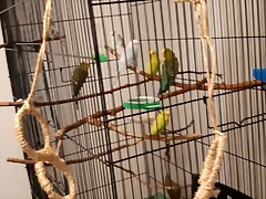 20181113_224756