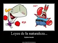 leyes