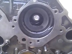 IMAG1384 IMAG1384