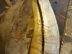 20180618_165759 20180618_165759