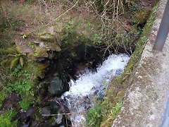 DSCN8163 DSCN8163