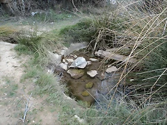 DSC00026