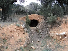 DSC00025