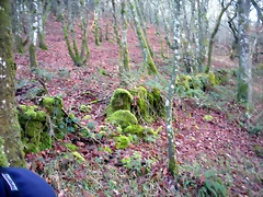DSCN2090 DSCN2090