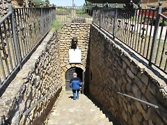 IMG_1675 IMG_1675