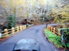 DSCN0004