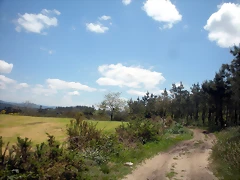 DSCN5380