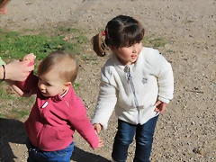 IMG_1125 IMG_1125