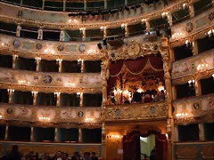 Fenice 2 Fenice 2