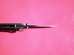 DSCF1684 DSCF1684