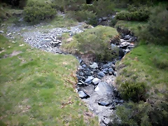 DSCN5131 DSCN5131