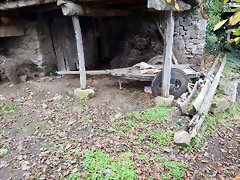 DSCN9976 DSCN9976