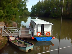 DSCN6728 DSCN6728