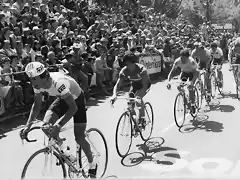 vuelta a espaa de 1982-arroyo-lejarreta-madrid