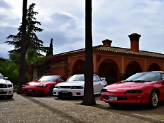 DSC_0852 DSC_0852