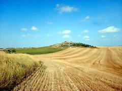 DSCN6812 DSCN6812