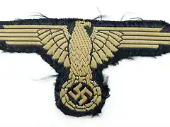 Waffen_SS__tropi_4cc9d9e490ab6