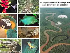 ozono21 biodiversidad