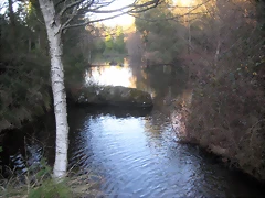 IMG_0523 IMG_0523