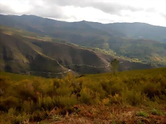 DSCN0059'6 DSCN0059'6