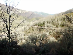 DSCN3259 DSCN3259