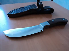 b3