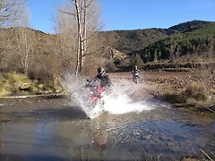 94