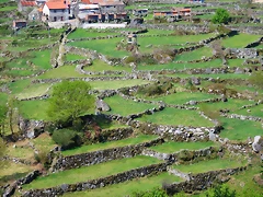 44-IMG_5740 44-IMG_5740