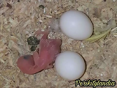 FB_IMG_1539179368298 FB_IMG_1539179368298