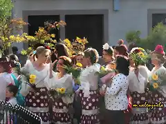 16, ofrenda de flores, marca