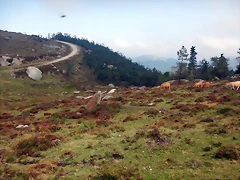DSCN0564 DSCN0564