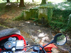 DSCN6321 DSCN6321