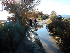 DSCN1452 DSCN1452