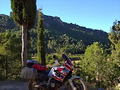 39
