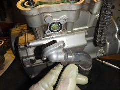 DSCN1440 DSCN1440