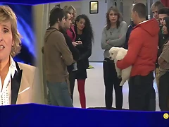 Gala 3 entrada Aris 3 Gala 3 entrada Aris 3