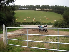 IMG_0231 IMG_0231