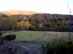 DSCN8644