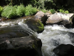 DSCN2783 DSCN2783