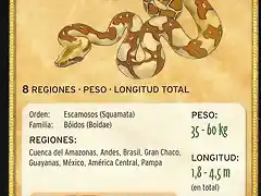 boa constrictor