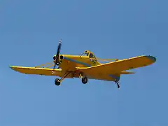 PA-25-PuelcheFADEA