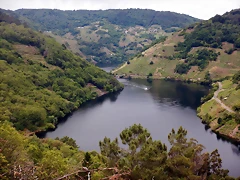 DSCN3526 DSCN3526