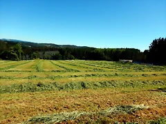 DSCN2339 DSCN2339