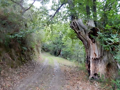 DSCN7194 DSCN7194