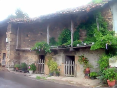 DSCN3946 DSCN3946