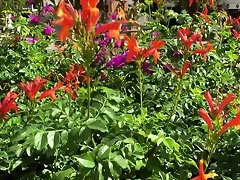 Video Mar?a IG Stories 16-10-2018 (11) Video Mar?a IG Stories 16-10-2018 (11)