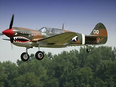 Curtiss_P-40_Warhawk_airshow[1]