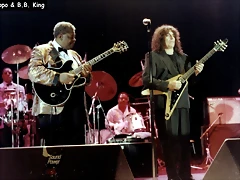 pappo_bbking